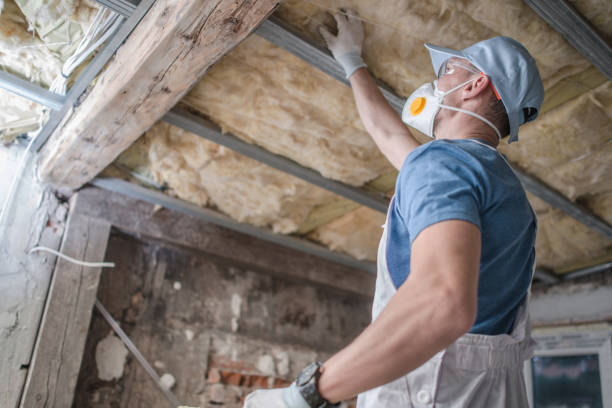 Best Insulation Maintenance and Repair in Avilla, IN